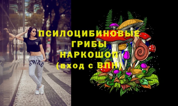 мет Баксан