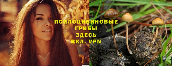 дживик Балабаново