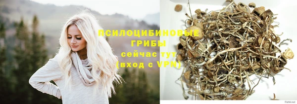 дживик Балабаново